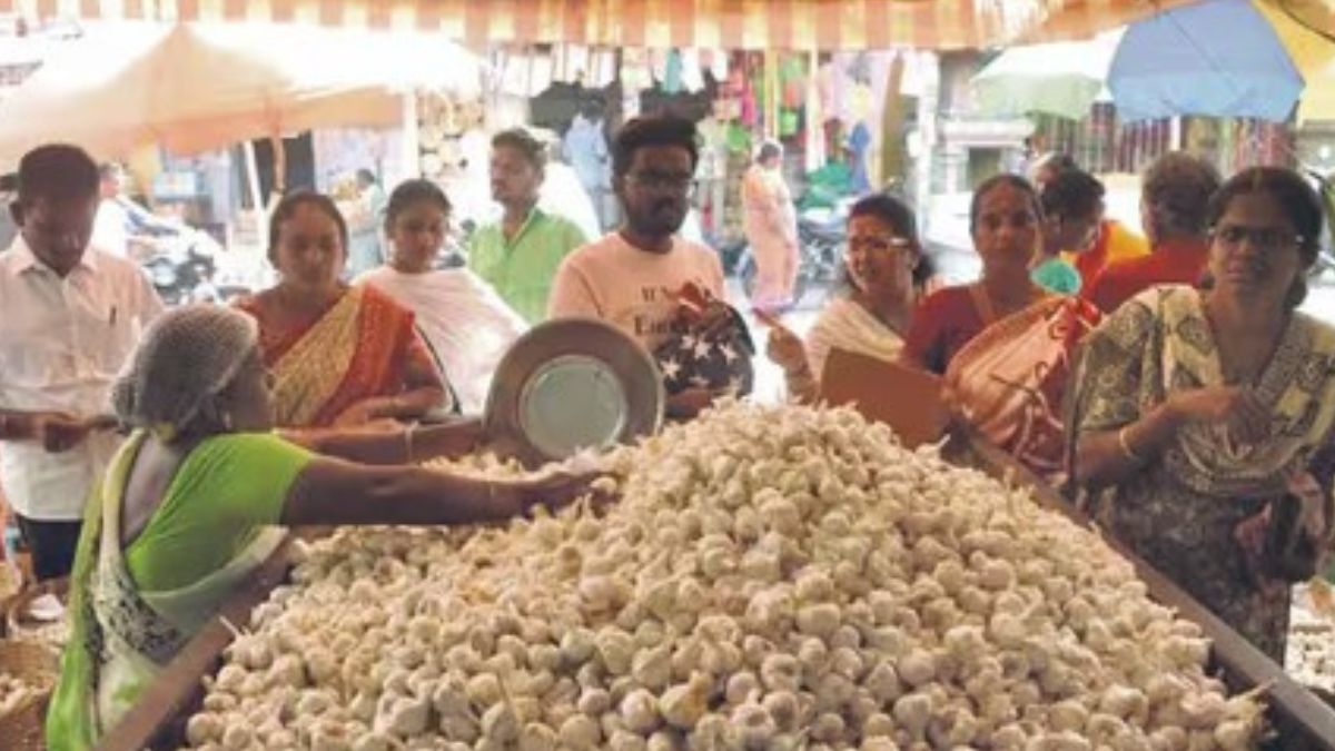 ஈரோட்டில் எகிறியது பூண்டு விலை ஒரு வாரத்தில் 300-ஐ தொட்டதால் இல்லத்தரசிகள் அதிர்ச்சி