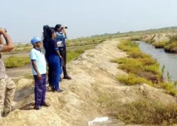 ராமநாதபுரம் கடல்சார் தீவுகள் மற்றும் சரணாலயங்களில் பறவைகள் கணக்கெடுப்பு நிறைவு ஆய்வாளர்கள் மகிழ்ச்சி