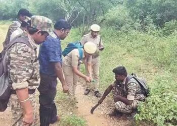 சத்தியமங்கலம் புலிகள் காப்பகத்தில் வனவிலங்குகள் கணக்கெடுப்பு அதிநவீன கருவிகளுடன் களமிறங்கல்