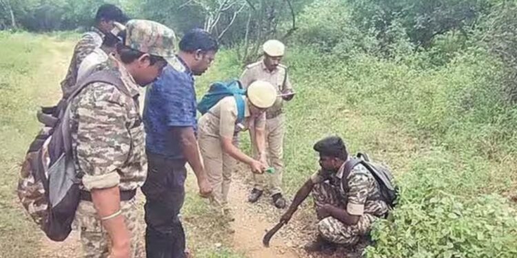 சத்தியமங்கலம் புலிகள் காப்பகத்தில் வனவிலங்குகள் கணக்கெடுப்பு அதிநவீன கருவிகளுடன் களமிறங்கல்