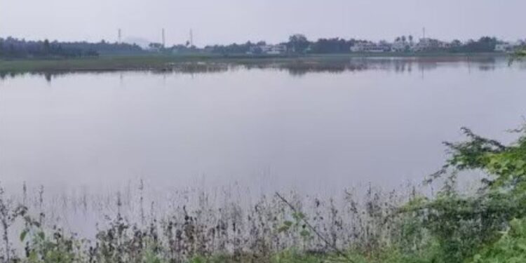 ஆக்கிரமிப்பு பிடியில் சிக்கித் தவிக்கும் ஆயக்குடி மாப்பிள்ளை நாயக்கன் குளம்  விவசாயிகள் வேதனை