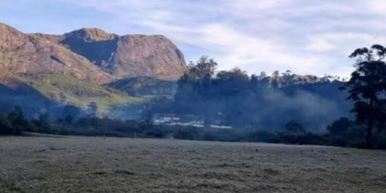 1 டிகிரி: மூணாறில் உறைபனிப் போர்வை – நடுங்கும் மக்கள், உற்சாகத்தில் சுற்றுலாப் பயணிகள்!