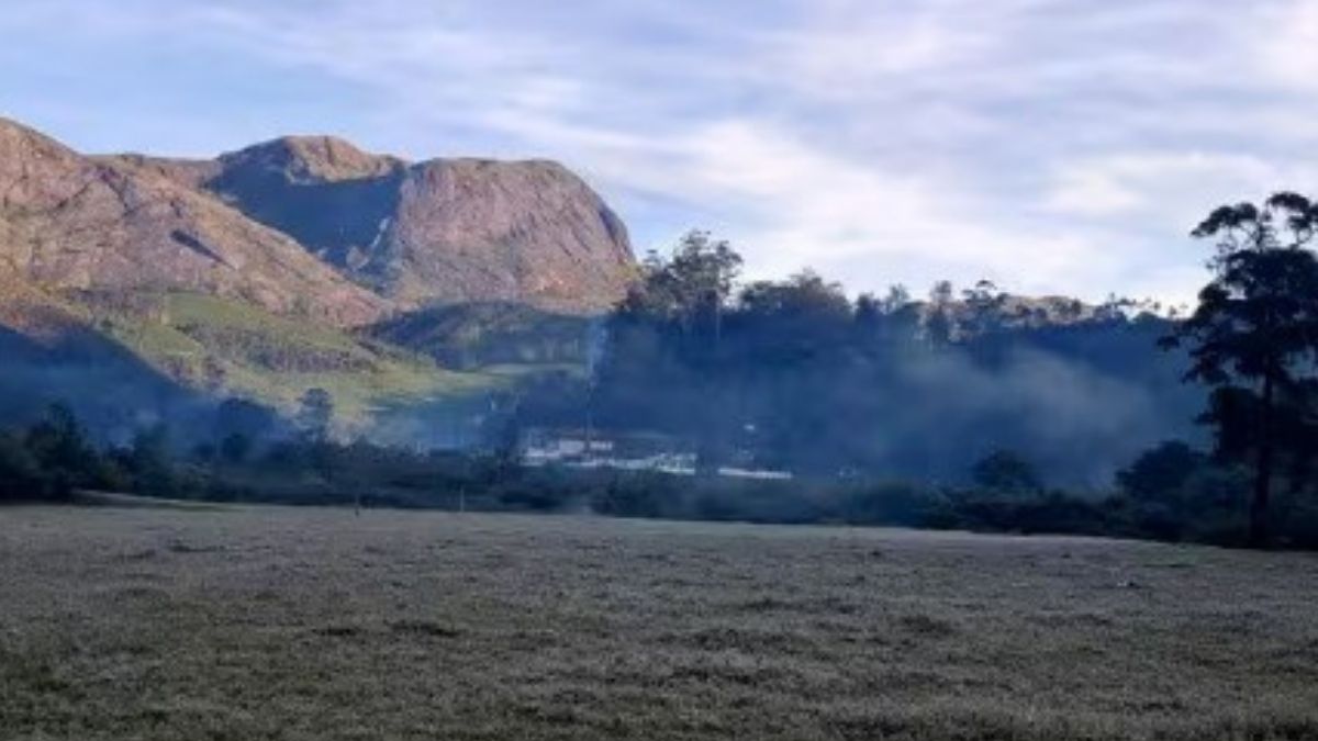 1 டிகிரி: மூணாறில் உறைபனிப் போர்வை – நடுங்கும் மக்கள், உற்சாகத்தில் சுற்றுலாப் பயணிகள்!