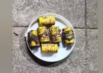 ஒட்டன்சத்திரம் அருகே வனவிலங்குகளை வேட்டையாட பதுக்கி வைக்கப்பட்டிருந்த நாட்டு வெடிகுண்டுகள் பறிமுதல்