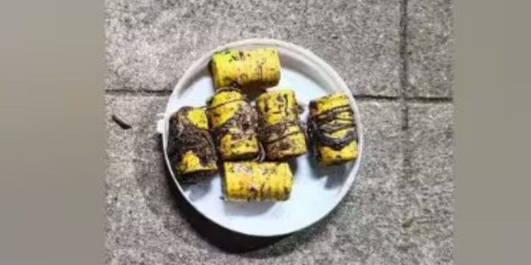 ஒட்டன்சத்திரம் அருகே வனவிலங்குகளை வேட்டையாட பதுக்கி வைக்கப்பட்டிருந்த நாட்டு வெடிகுண்டுகள் பறிமுதல்