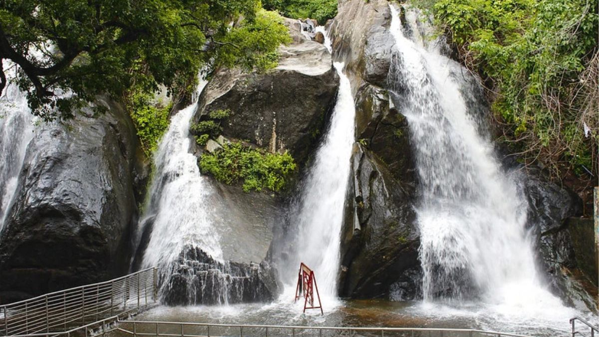 குற்றாலம் மெயின் அருவியில் கடும் வெள்ளப்பெருக்கு: சுற்றுலாப் பயணிகள் குளிக்கத் தடை