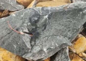 “மலைகளை அழிக்கும் கல் குவாரி” – திமுக கவுன்சிலரின் கணவர் மீது புகார்!