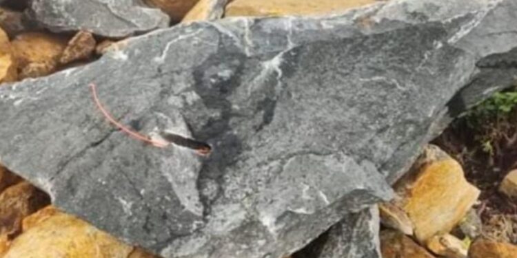 “மலைகளை அழிக்கும் கல் குவாரி” – திமுக கவுன்சிலரின் கணவர் மீது புகார்!