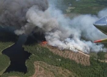 செயற்கைக்கோள் மூலம் கட்டுப்படுத்தப் படும் காட்டுத்தீ