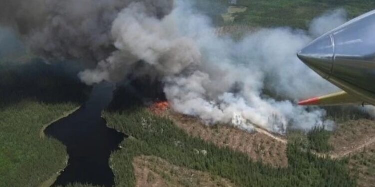 செயற்கைக்கோள் மூலம் கட்டுப்படுத்தப் படும் காட்டுத்தீ