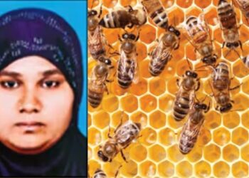 துரித உணவகத்தை விடுத்து இயற்கை தேனீ வளர்ப்பு திண்டுக்கல் பட்டதாரி பெண்!