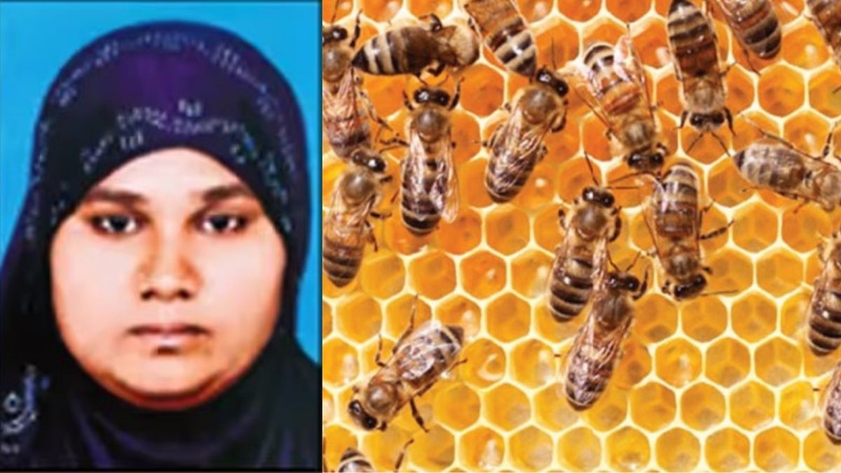 துரித உணவகத்தை விடுத்து இயற்கை தேனீ வளர்ப்பு திண்டுக்கல் பட்டதாரி பெண்!