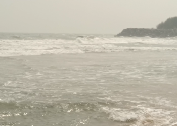 டிட்வா புயல் காரணமாக மாமல்லபுரம் கடற்கரையில் செத்து மிதக்கும்  அரியவகை மீன்கள் மீனவர்கள் அதிர்ச்சி