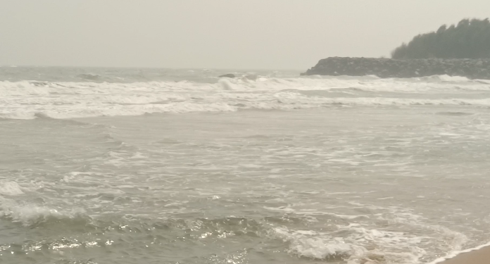 டிட்வா புயல் காரணமாக மாமல்லபுரம் கடற்கரையில் செத்து மிதக்கும்  அரியவகை மீன்கள் மீனவர்கள் அதிர்ச்சி