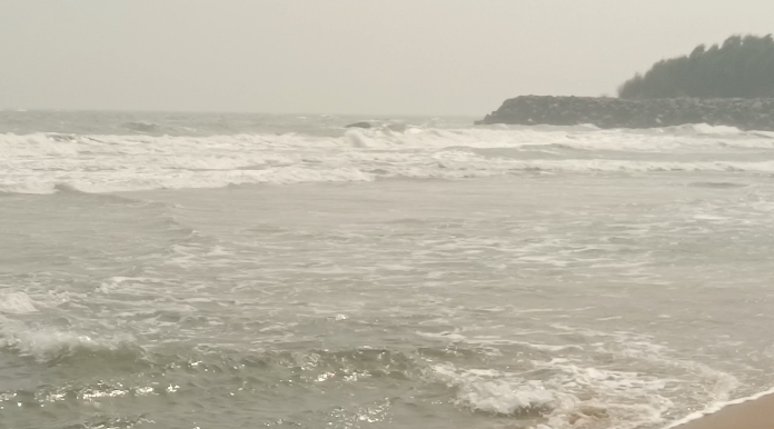 டிட்வா புயல் காரணமாக மாமல்லபுரம் கடற்கரையில் செத்து மிதக்கும்  அரியவகை மீன்கள் மீனவர்கள் அதிர்ச்சி