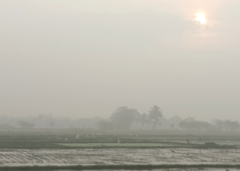 செங்கல்பட்டு மாவட்டத்தில் கடுமையான பனிமூட்டம் வாகன ஓட்டிகள் அவதி