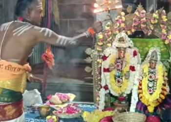 மயிலாடுதுறை மயூரநாதர் ஆலயத்தில், ஆருத்ரா தரிசனத்தை முன்னிட்டு  ஊஞ்சல் உற்சவம்
