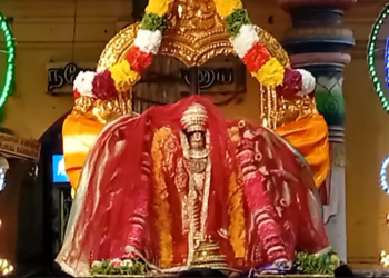 சீர்காழி அருகே 39வது திவ்ய தேசமான அண்ணன் பெருமாள் கோவில் வைகுண்ட  ஏகாதசி முன்னிட்டு பரமபத வாசல் திறப்பு