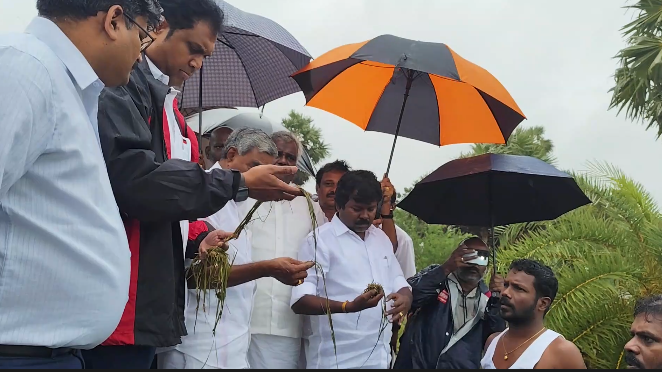 திருவாரூர் 15000 ஹெக்டேர் அளவுக்கு நெற்பயிர்கள் மழை நீரில் மூழ்கி இருக்கின்றன தொழில்துறை அமைச்சர்TRPராஜா பேட்டி