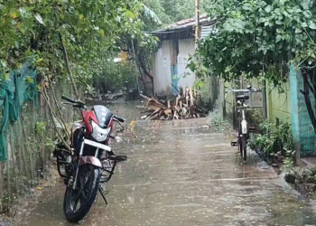 தரங்கம்பாடி சுற்றுவட்டார பகுதிகளில் கடந்த 24 மணி நேரத்திற்கு மேலாக மழை விவசாயிகள் கவலை இயல்புவாழ்க்கை பாதிப்பு