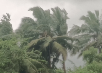 டித்வா புயலின் காரணமாக செங்கல்பட்டு இடைவிடாத சாரல் மழை மக்கள் அவதி