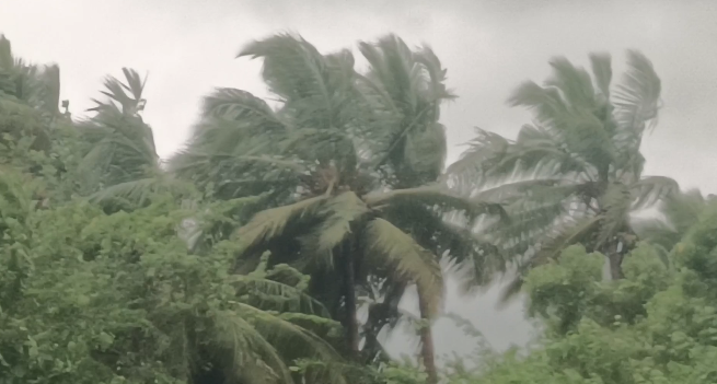 டித்வா புயலின் காரணமாக செங்கல்பட்டு இடைவிடாத சாரல் மழை மக்கள் அவதி