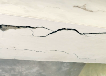 தொடர்ந்து பெய்த கனமழை காரணமாக கோட்டூர் அருகே ஊராட்சி ஒன்றிய தொடக்கப்பள்ளி மேற்கூரைகள் இடிந்து விழும் நிலை