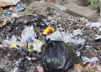 பாச்சல் ஊராட்சி அலுவலகம் செல்லும் வழியில் ஆசிரியர் நகர் பகுதியில் குப்பையால் துர்நாற்றம்