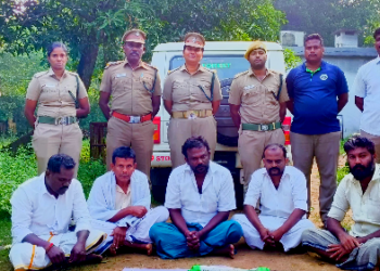 சிங்கப்பூரில் இருந்து கடத்தி வந்த ரூ 2.கோடியே 50லட்சம் மதிப்பிலான அம்பர் கிரீஸ் பறிமுதல்