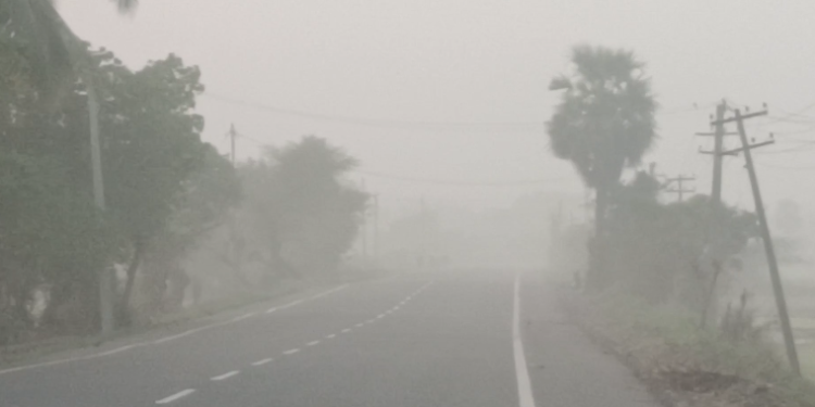 செங்கல்பட்டு மாவட்டத்தில் தொடர்ந்து ஒரு வாரங்களாக கடும் பனிப்பொழிவு வாகன ஓட்டிகள் சிரமம்