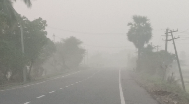 செங்கல்பட்டு மாவட்டத்தில் தொடர்ந்து ஒரு வாரங்களாக கடும் பனிப்பொழிவு வாகன ஓட்டிகள் சிரமம்