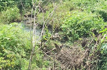 சீர்காழி நகராட்சிக்கு உட்பட்ட மதீனா நகரில் கழிவுநீர் & செப்டிக் டேங்க் நீரால் பொதுமக்கள் அவதி