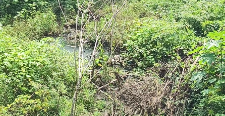 சீர்காழி நகராட்சிக்கு உட்பட்ட மதீனா நகரில் கழிவுநீர் & செப்டிக் டேங்க் நீரால் பொதுமக்கள் அவதி