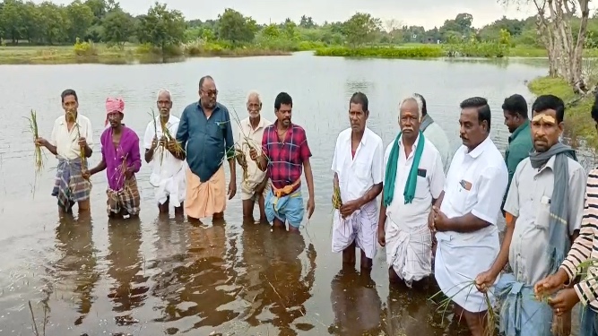 சீர்காழி சுற்று வட்டார பகுதியில் வடிகால் வசதி இல்லாததால்,10,000 ஏக்கரில் சம்பா நெற்பயிர்கள் நீரில் மூழ்கி விவசாயிகள் கவலை