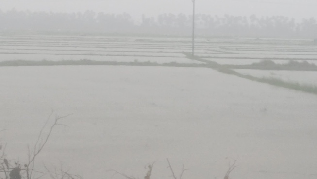 டிட்வா புயல் காரணமாக செங்கல்பட்டு சாரல் மழை பள்ளி கல்லூரி மாணவர்கள் அவதி