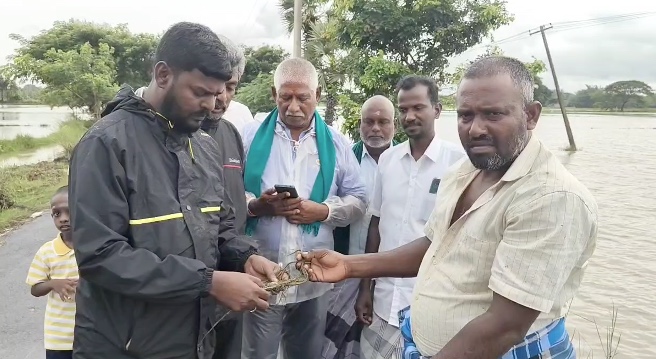 டித்வா புயலால் மழை வெள்ளத்தில் நீரில் மூழ்கிய பயிர்களை பார்வையிட அமைச்சர்களும் சட்டமன்ற உறுப்பினர்களும் முன்வரவில்லை விவசாயிகள் குற்றச்சாட்டு