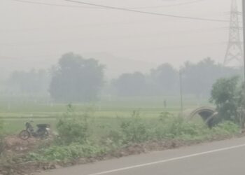 செங்கல்பட்டு மாவட்டத்தில் தொடர் மழை நின்ற நிலையில் இன்று அதிகாலை கடும் பணிமோட்டம் வாகன ஓட்டிகள் அவதி