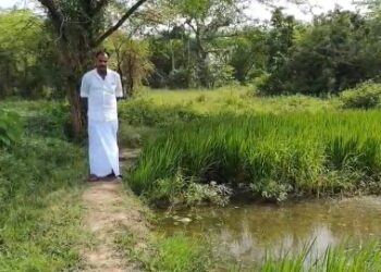 ஆழ்குழாய் கிணறு அமைத்துள்ள விவசாய மின் இணைப்பு வழங்க மறுத்து அலைக்கழிக்கும் அதிகாரி நடவடிக்கை எடுக்க கோரிக்கை