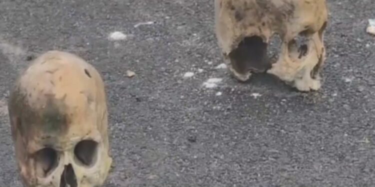 சாலையின் நடுவே கிடந்த மண்டை ஓடு – அச்சத்தில் மக்கள்