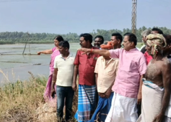 குளம் உடைந்ததால் 50 ஏக்கர் நிலங்கள் பாதிப்பு – கன்னியாகுமரி எம்எல்ஏ தளவாய் சுந்தரம் நேரில் ஆய்வு