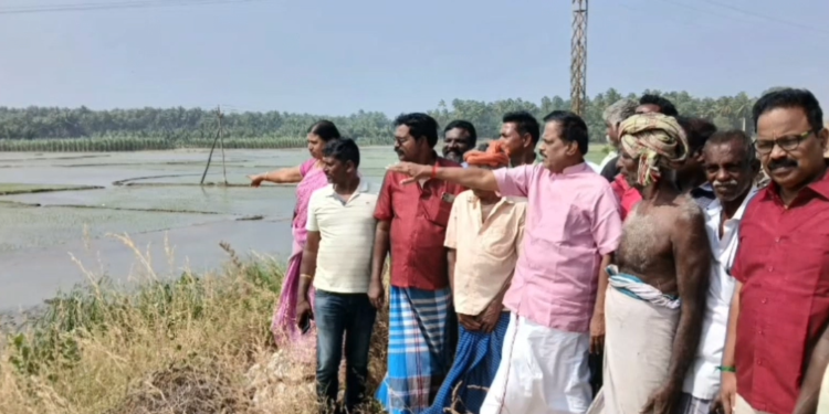 குளம் உடைந்ததால் 50 ஏக்கர் நிலங்கள் பாதிப்பு – கன்னியாகுமரி எம்எல்ஏ தளவாய் சுந்தரம் நேரில் ஆய்வு