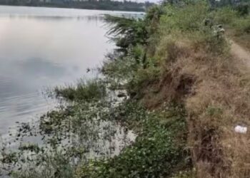 பெள்ளாதி குளத்தில் மண் அரிப்பு உடைப்பு ஏற்படும் முன் மணல் மூட்டைகளை அடுக்கி கரையை பலப்படுத்த கோரிக்கை