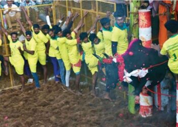 வாடிவாசல் திறக்கட்டும்… ஜல்லிக்கட்டு காளைகள் அதிரட்டும்… சத்திர வெள்ளாளப்பட்டியில் சீறிய காளைகளும் மோட்டார் சைக்கிள் வென்ற வீரர்களும்!