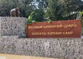 சாடிவயலில் சர்வதேசத் தரத்தில் நவீன யானைகள் முகாம் தயார் வனத்துறை தீவிரம்.