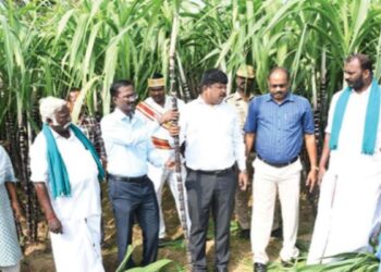 மயிலாடுதுறை மாவட்டத்தில் 2.87 லட்சம் குடும்பங்களுக்குப் பொங்கல் பரிசு கலெக்டர் ஸ்ரீகாந்த் நேரில் ஆய்வு!