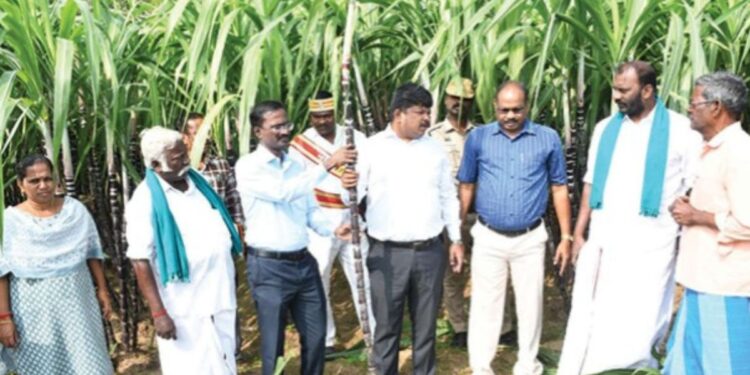 மயிலாடுதுறை மாவட்டத்தில் 2.87 லட்சம் குடும்பங்களுக்குப் பொங்கல் பரிசு கலெக்டர் ஸ்ரீகாந்த் நேரில் ஆய்வு!