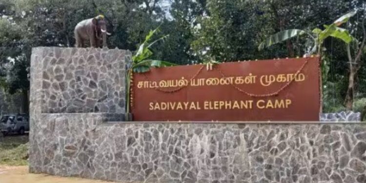 சாடிவயலில் சர்வதேசத் தரத்தில் நவீன யானைகள் முகாம் தயார் வனத்துறை தீவிரம்.