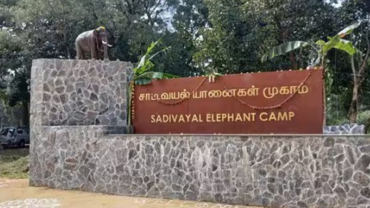 சாடிவயலில் சர்வதேசத் தரத்தில் நவீன யானைகள் முகாம் தயார் வனத்துறை தீவிரம்.