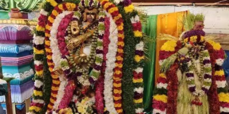 அவிநாசி லிங்கேஸ்வரர் கோயிலில் ஆருத்ரா தரிசனப் பெருவிழா ஆடல்வல்லான் அருட்காட்சி