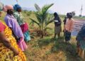 “தென்னையை காக்கும் மாயவலை”: மரிக்குண்டு விவசாயிகளுக்கு பெரோமோன் தொழில்நுட்ப பயிற்சி!
